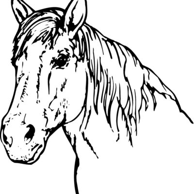HORSE009 Thumbnail