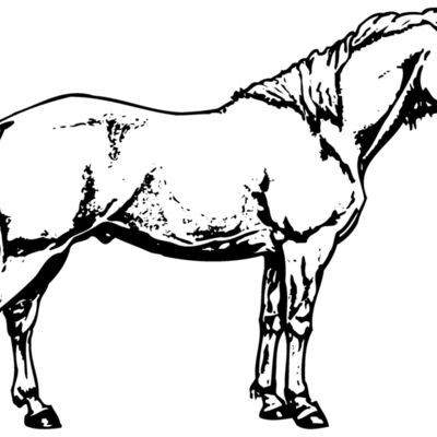 HORSE016 Thumbnail