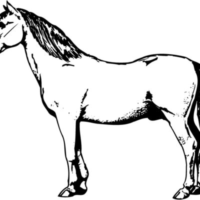 HORSE030 Thumbnail