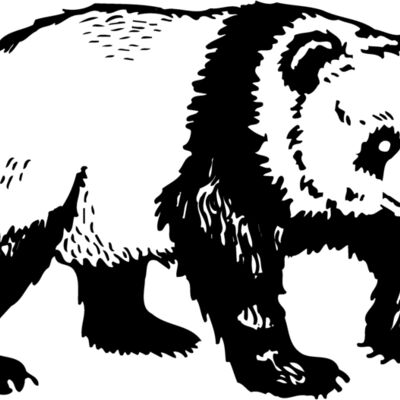 BEAR019 Thumbnail