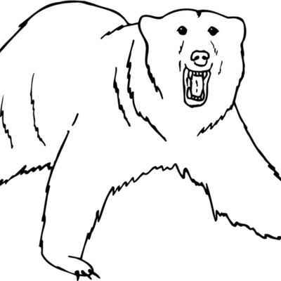 BEAR021 Thumbnail