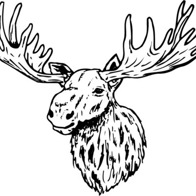 MOOSE001 Thumbnail