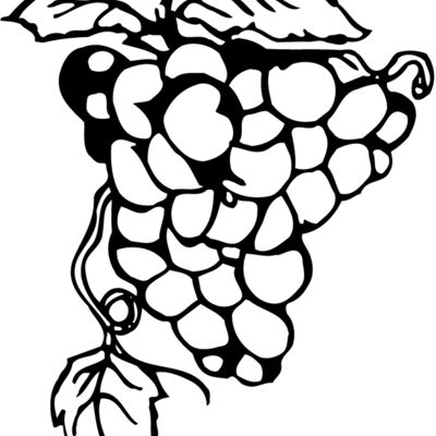FRUIT017 Thumbnail